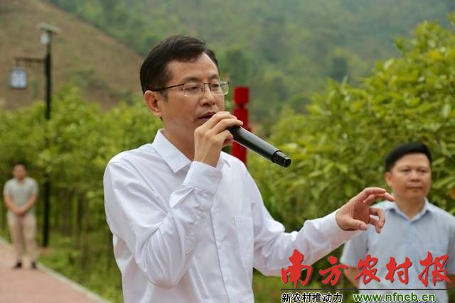 "现场谈起肉桂产业,云浮市副市长,罗定市委书记黄天生俨然一位"接地气