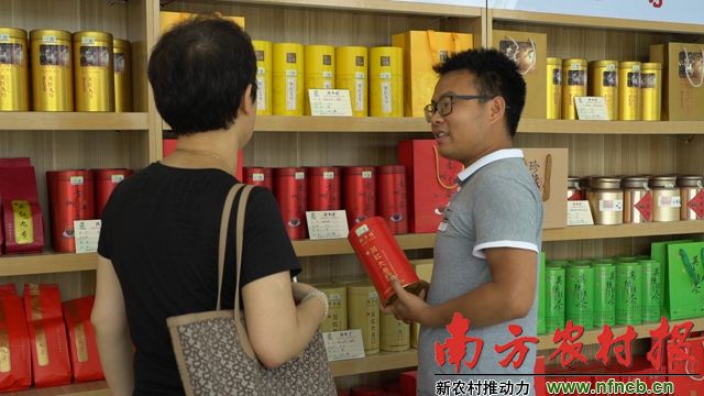 英德市横石塘镇龙华村5名90后返乡创业我们要当乡村振兴火车头