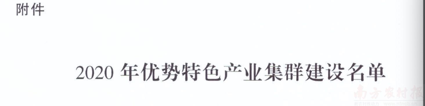 金柚入选国家级优势特色产业集群建设名单!